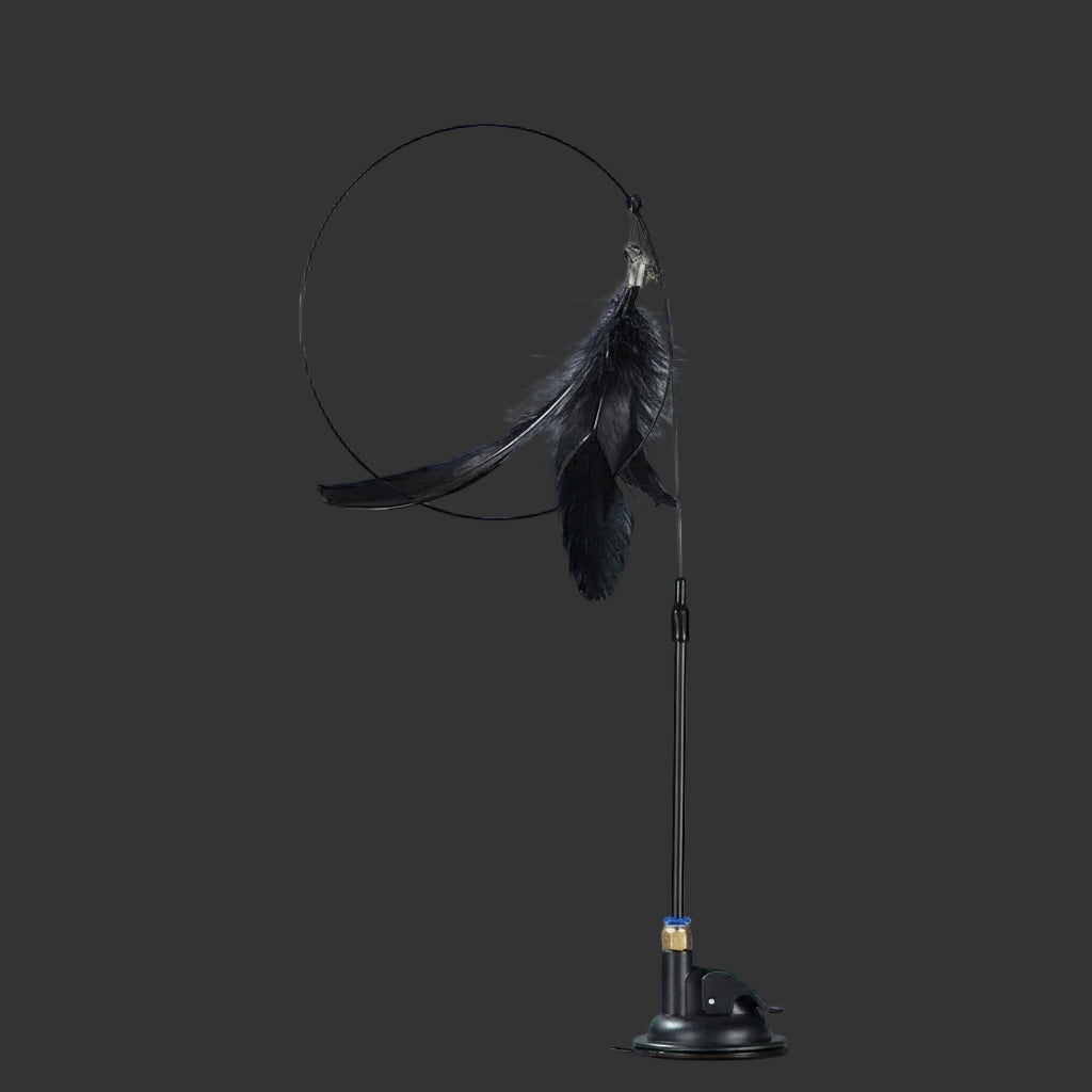 Jouet à plumes interactif pour chat avec ventouse et clochette