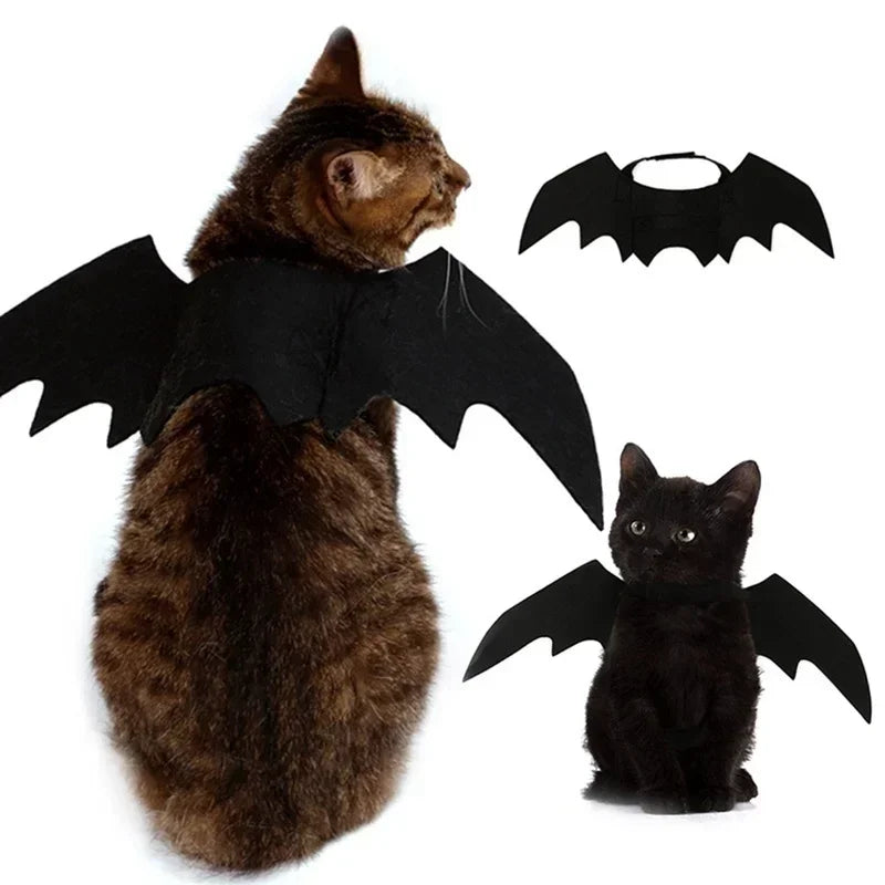 Costume chat style chauve-souris