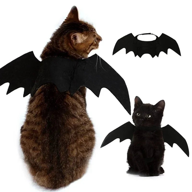 Costume chat style chauve-souris