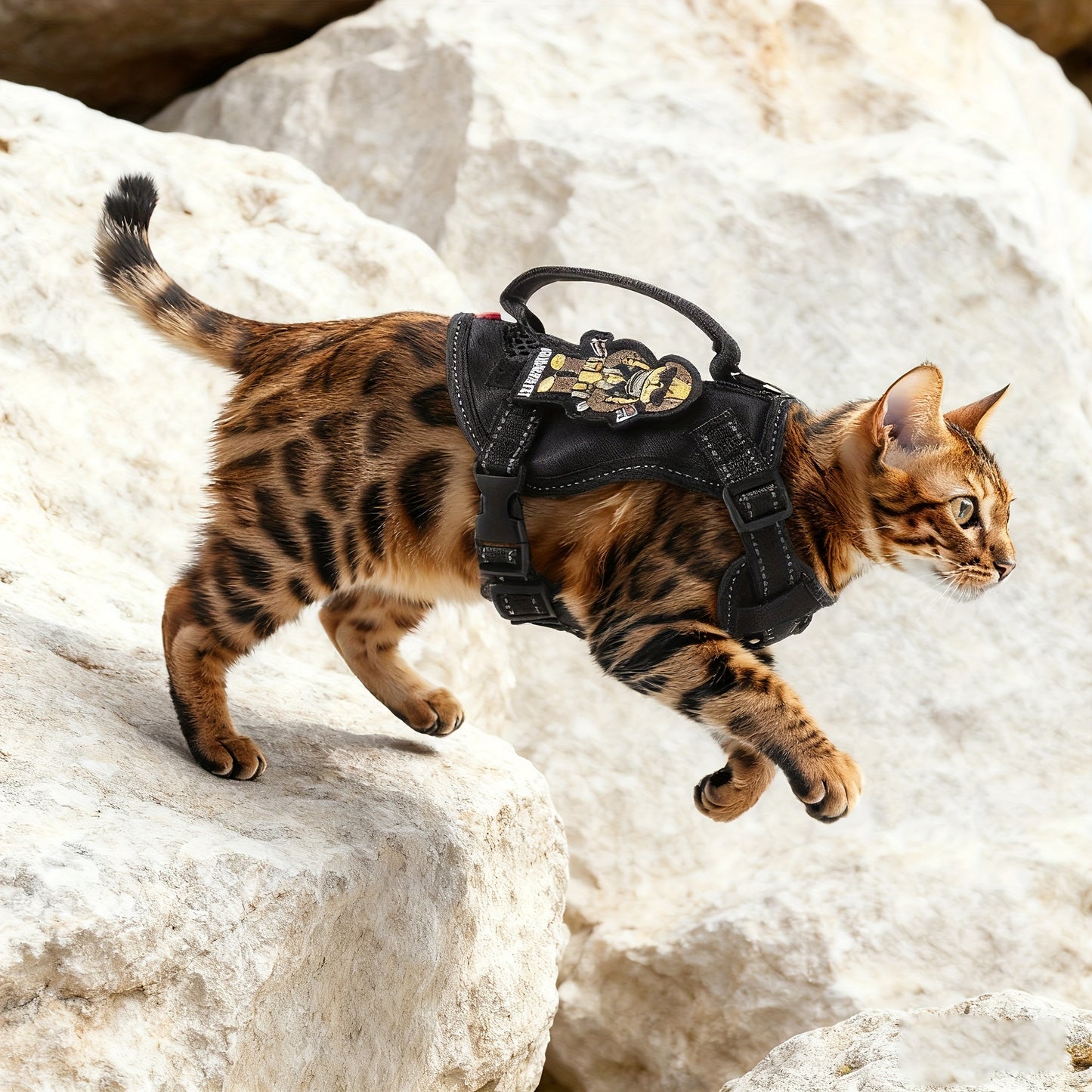 Harnais tactique pour chat avec laisse