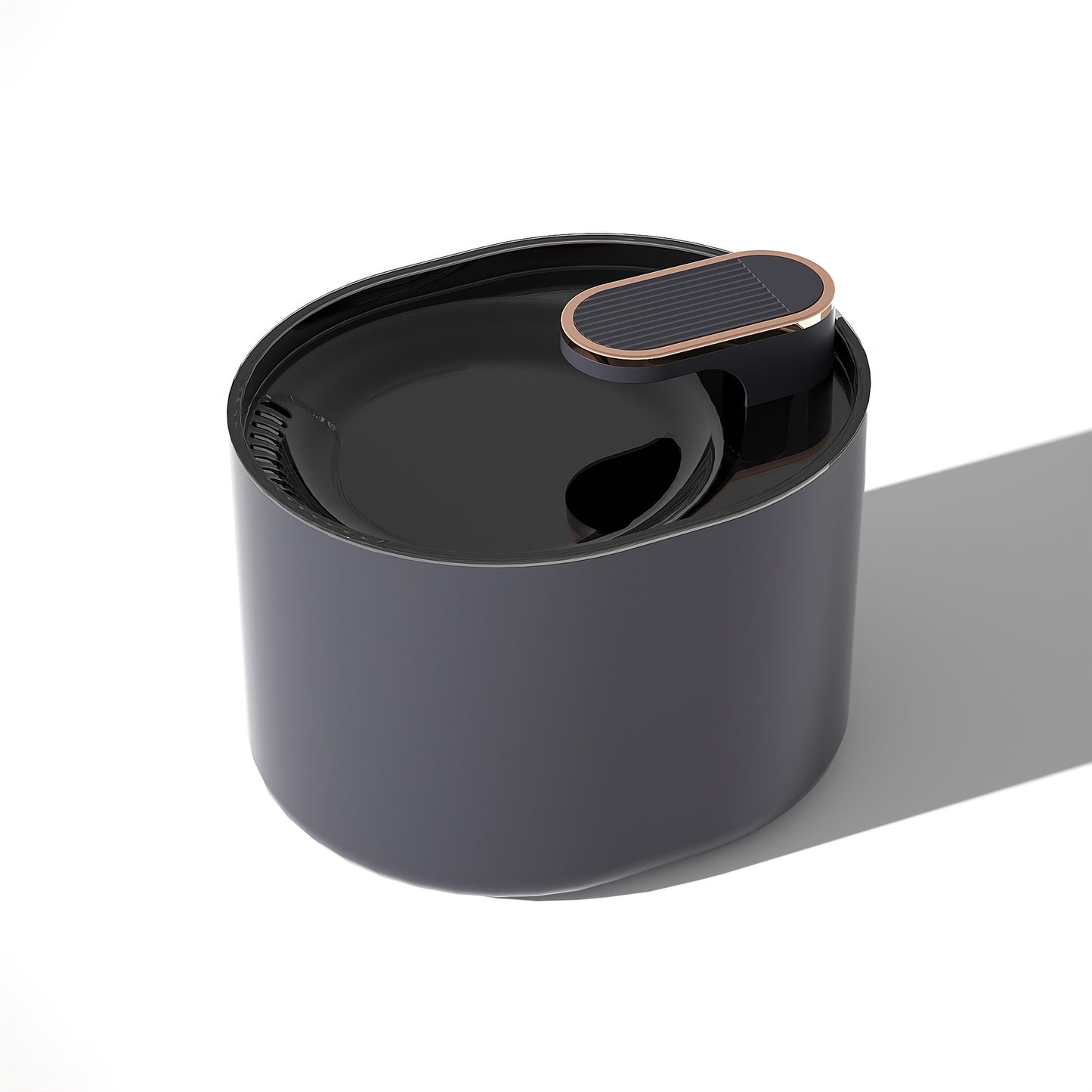 🐾 Kit maxi Fondationchat | Le pack complet pour chat au max