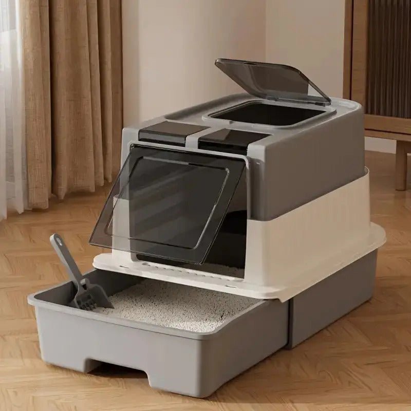 🐾 Kit débutant Fondationchat – Le pack complet pour chat heureux 6 essentiels