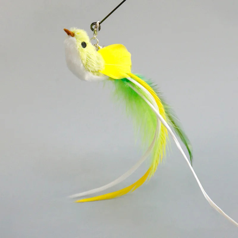 Jouet interactif pour chat | Oiseaux