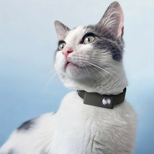 BORME HD 1080P : Le Collier Caméra qui Révèle la Vie Secrète de Votre Chat ou Chien