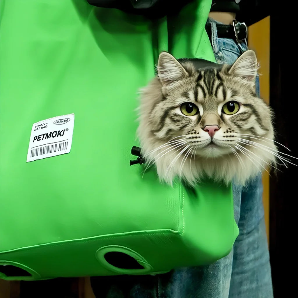 Sac de transport pour chat  | Sac à main de voyage confortable et sécurisé