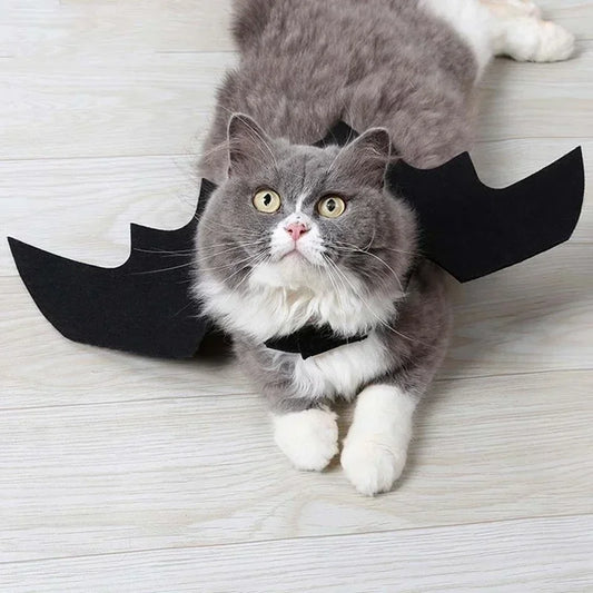 Costume chat style chauve-souris