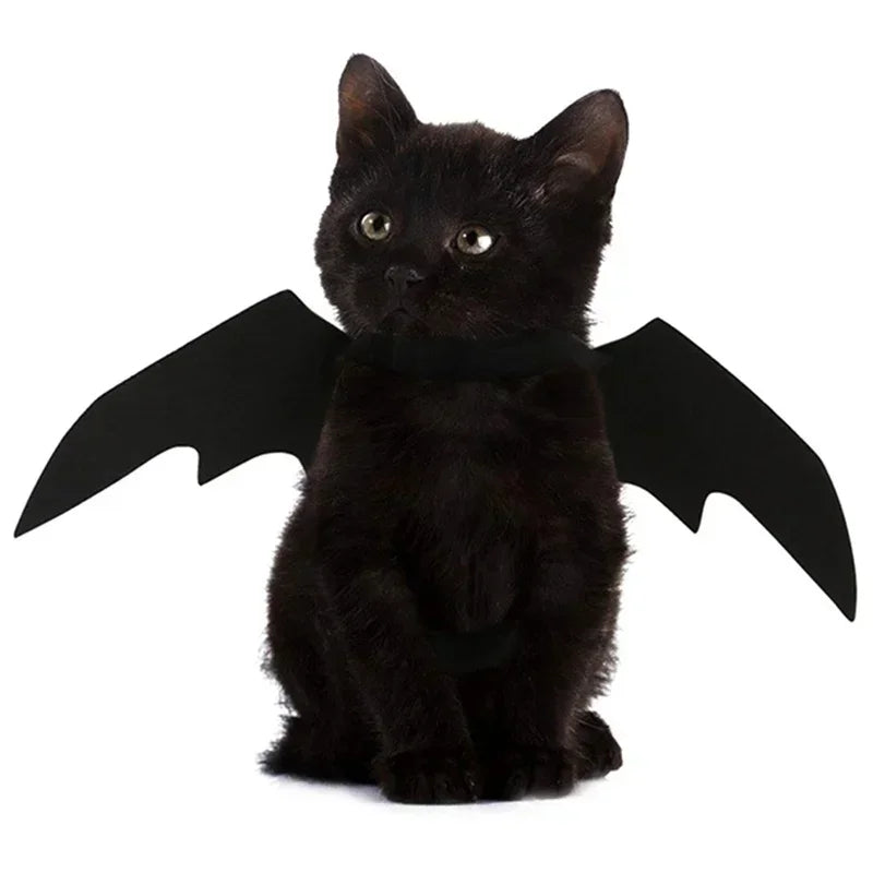 Costume chat style chauve-souris