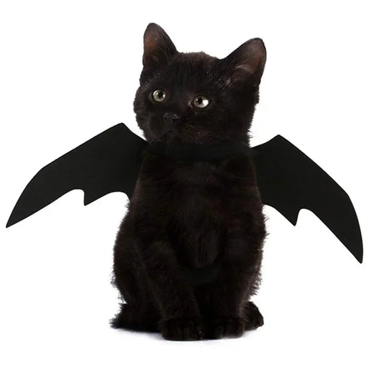 Costume chat style chauve-souris