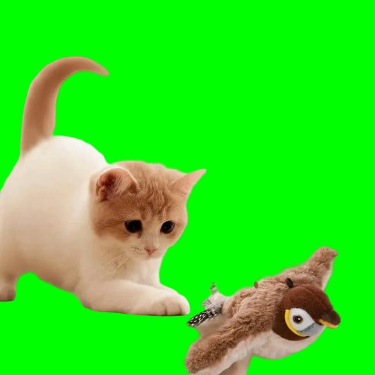 Jouet interactif électrique pour chat | Moineau télécommandé aux mouvements réalistes