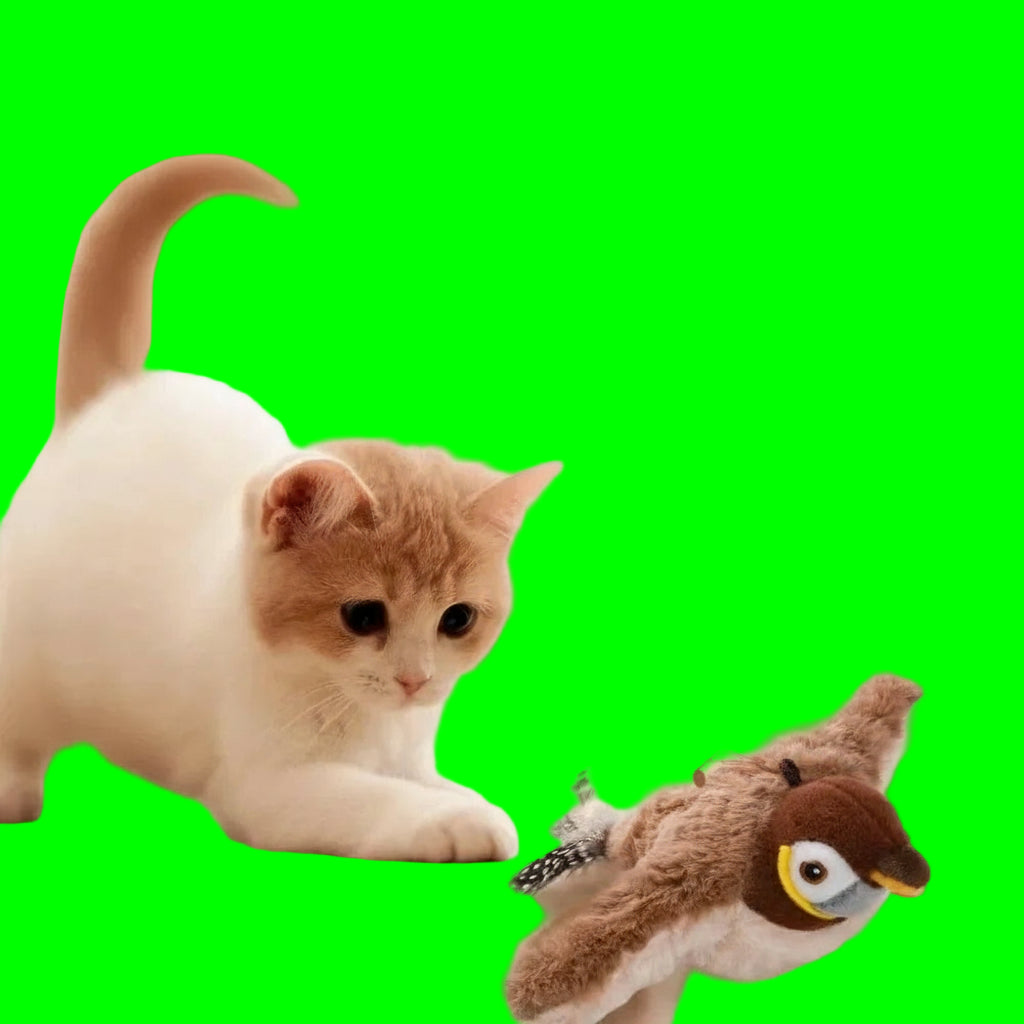 Jouet interactif électrique pour chat | Moineau télécommandé aux mouvements réalistes